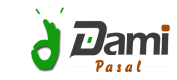 Dami pasal